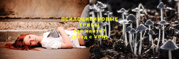 амф Аркадак