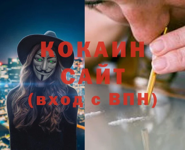 спайс Арсеньев